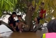 Brave Thai boy swims through flood to save stranded friends | Thaiger
