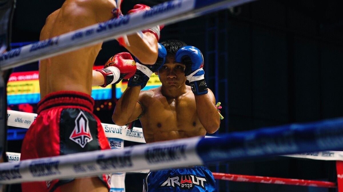 Train Muay Thai anytime, anywhere with MyMuayThai.app | News by Thaiger