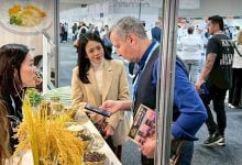 Thai rice steals the show at Australia food expo | Thaiger