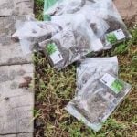 Bags of cannabis dumped outside Udon Thani home baffle locals | Thaiger