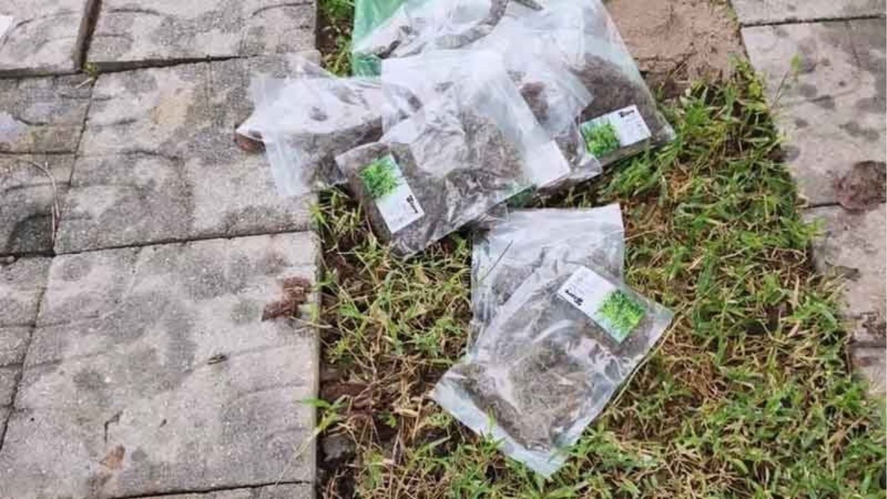 Bags of cannabis dumped outside Udon Thani home baffle locals | Thaiger