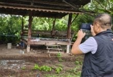 Man stabs friend to death in jealous rage at Korat party | Thaiger