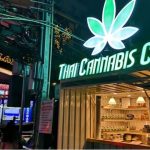 Cannabis clampdown: Thailand limits buds to 5 medical uses | Thaiger