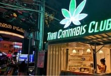 Cannabis clampdown: Thailand limits buds to 5 medical uses | Thaiger