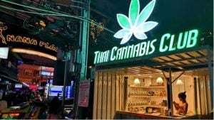 Cannabis clampdown: Thailand limits buds to 5 medical uses | Thaiger