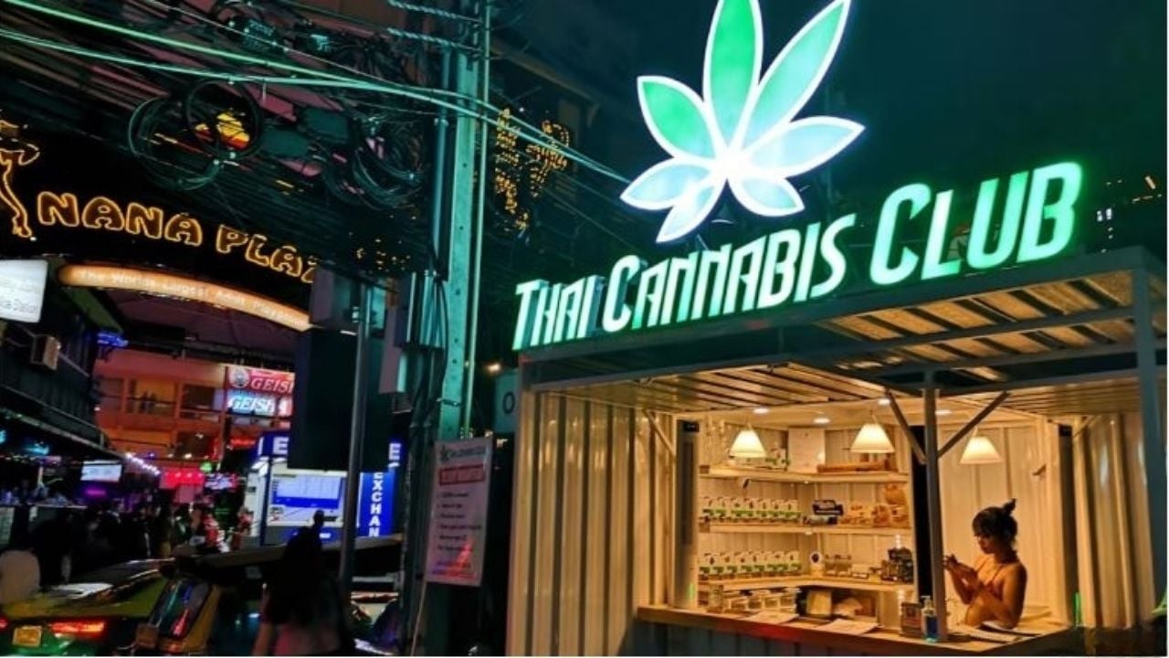 Cannabis clampdown: Thailand limits buds to 5 medical uses | Thaiger