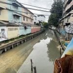 Bangkok Purple Line project probed after dead fish found | Thaiger