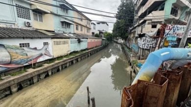 Bangkok Purple Line project probed after dead fish found | Thaiger