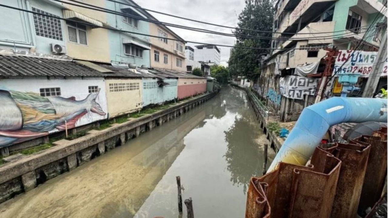 Bangkok Purple Line project probed after dead fish found | Thaiger