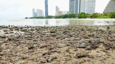 Rocks removed from Pattaya’s hidden beach over safety fears | Thaiger