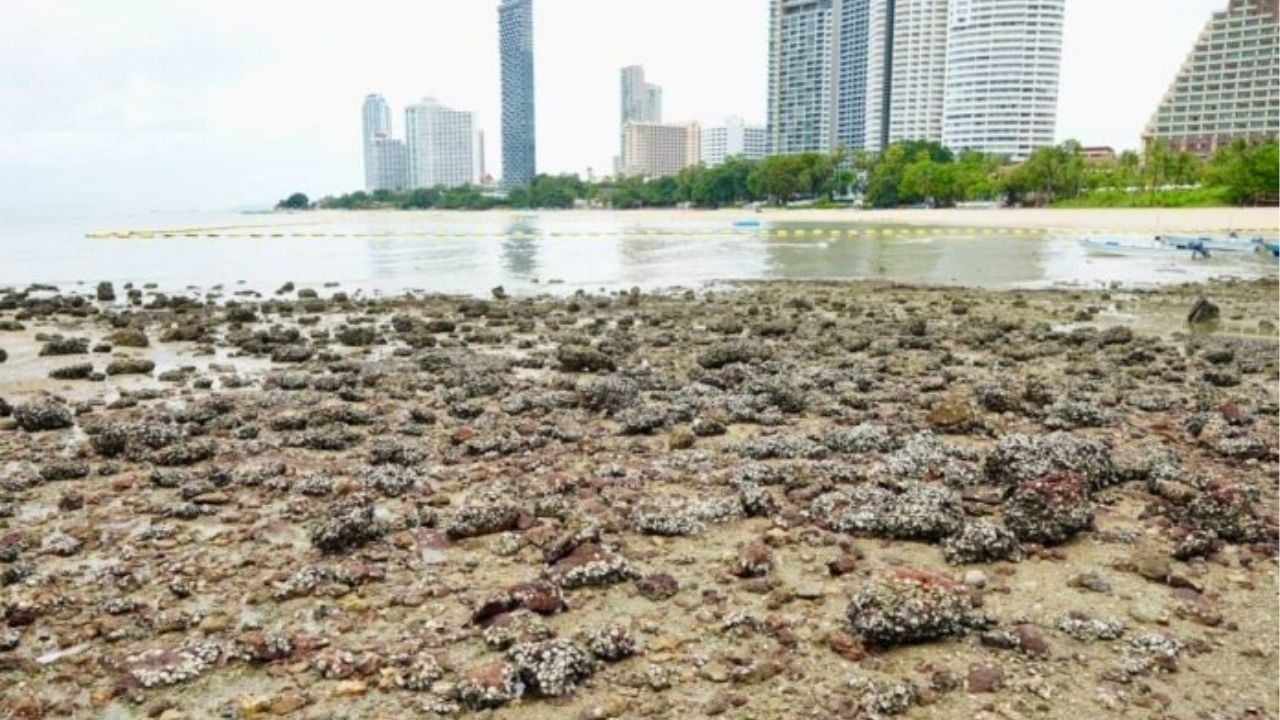 Rocks removed from Pattaya’s hidden beach over safety fears | Thaiger