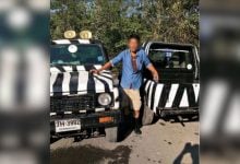 Doctor suspects zookeeper’s lion death may be suicide | Thaiger
