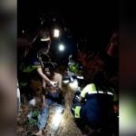 Rubber worker injured in elephant attack in central Thailand | Thaiger