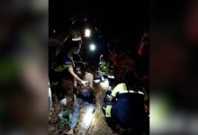 Rubber worker injured in elephant attack in central Thailand | Thaiger