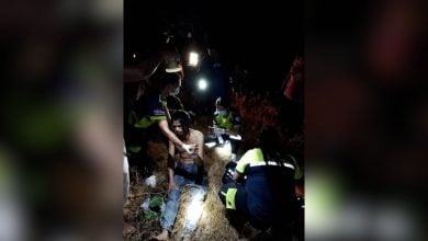 Rubber worker injured in elephant attack in central Thailand | Thaiger