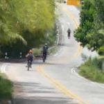 German man arrested for illegal e-bike tours on Koh Pha Ngan | Thaiger