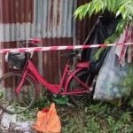 Howling dogs lead to grisly corpse find in Udon Thani hut | Thaiger