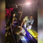 Hooked turtle rescued in Phuket as another dies from net injury | Thaiger
