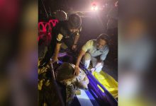 Hooked turtle rescued in Phuket as another dies from net injury | Thaiger
