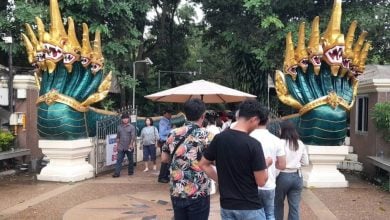 Thai lottery results announced, rituals fuel lucky number craze | Thaiger