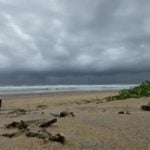 Tourist rescued after ignoring red flags at Karon Beach | Thaiger