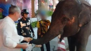 Pattaya officials warn after elephant seen strolling outside mall | Thaiger