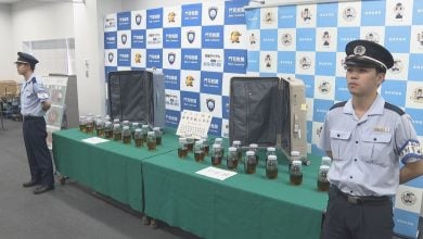 Japanese teens caught smuggling cannabis from Thailand to Japan | Thaiger