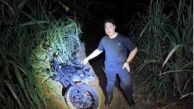GPS blunder sends tourist into forest crash in Pattaya | Thaiger