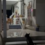 Villagers in Northeast Thailand demand monk disrobe over woman | Thaiger