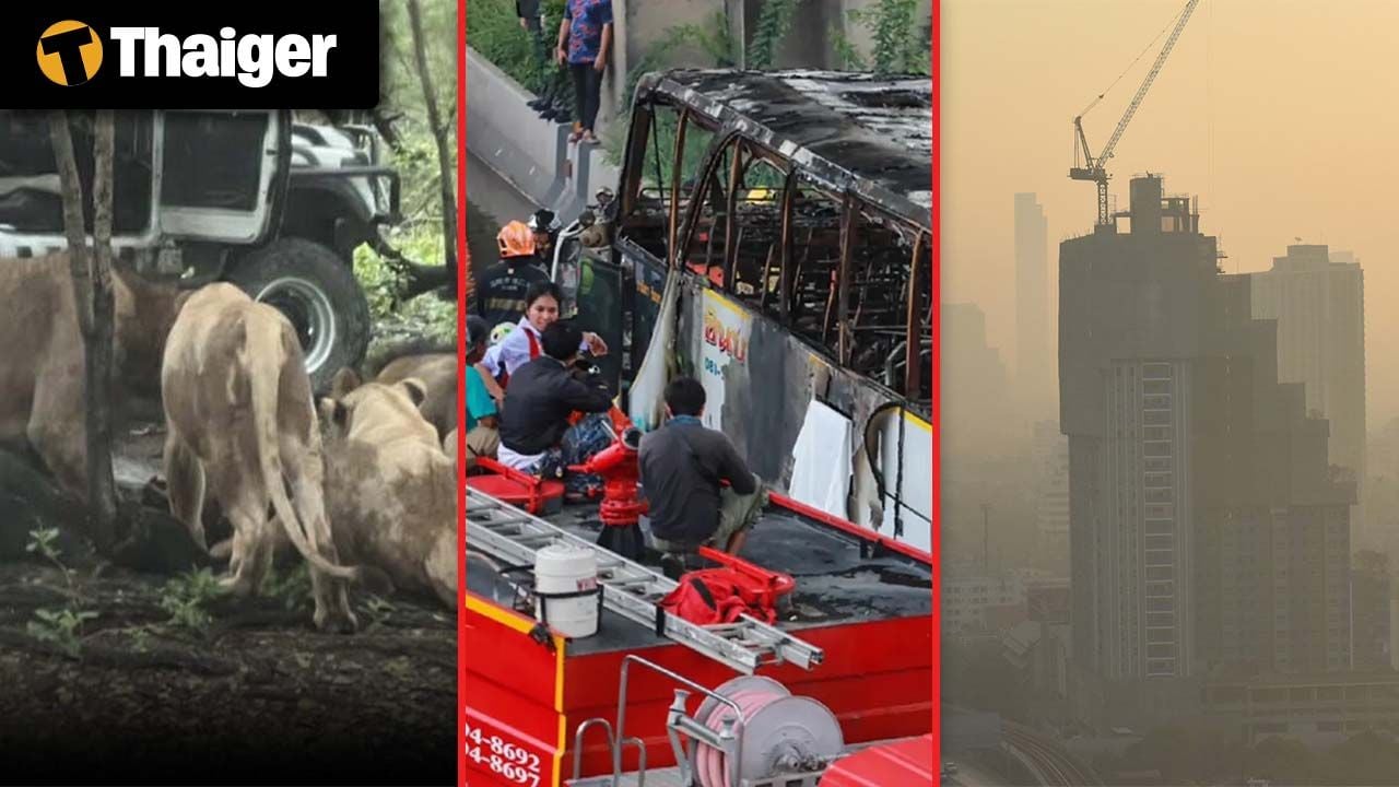 Thailand video news “Bangkok Safari Worker Fatally Mauled by Lions After Exiting Vehicle in Restricted Zone”, Thailand Achieves Top Marks in ICAO Safety Audit After Years of Reform | Thaiger