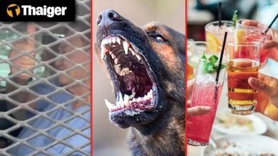 Thailand video news Inside Klong Prem: What Awaits Thaksin Behind Bars, Karon Beach Lifeguards Save Tourist Who Ignored Red Flags | Thaiger