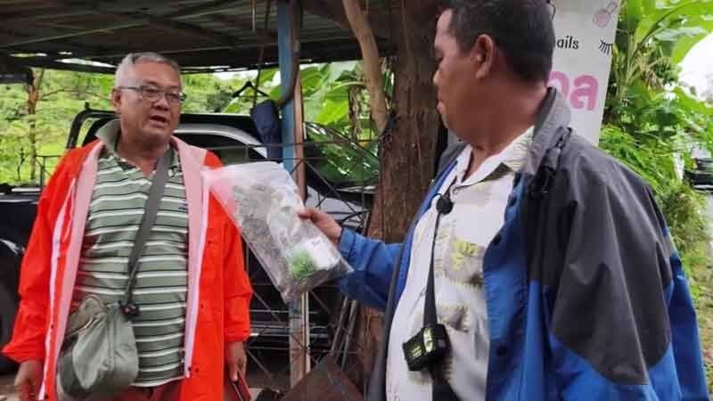 Bags of cannabis dumped outside Udon Thani home baffle locals | News by Thaiger