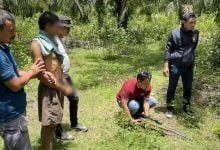 Trang man arrested for murder after love affair confrontation | Thaiger