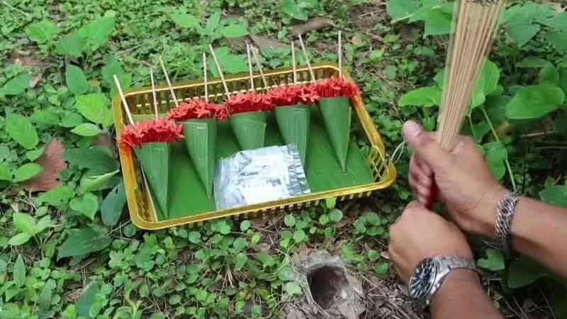 Lottery fever: Tarantula picks lucky number for upcoming draw | News by Thaiger