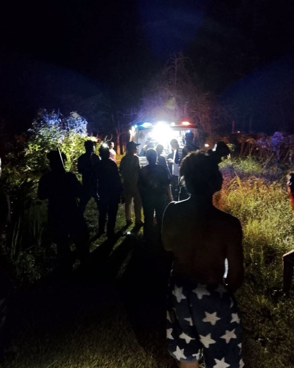 Rubber worker injured in elephant attack in central Thailand | News by Thaiger
