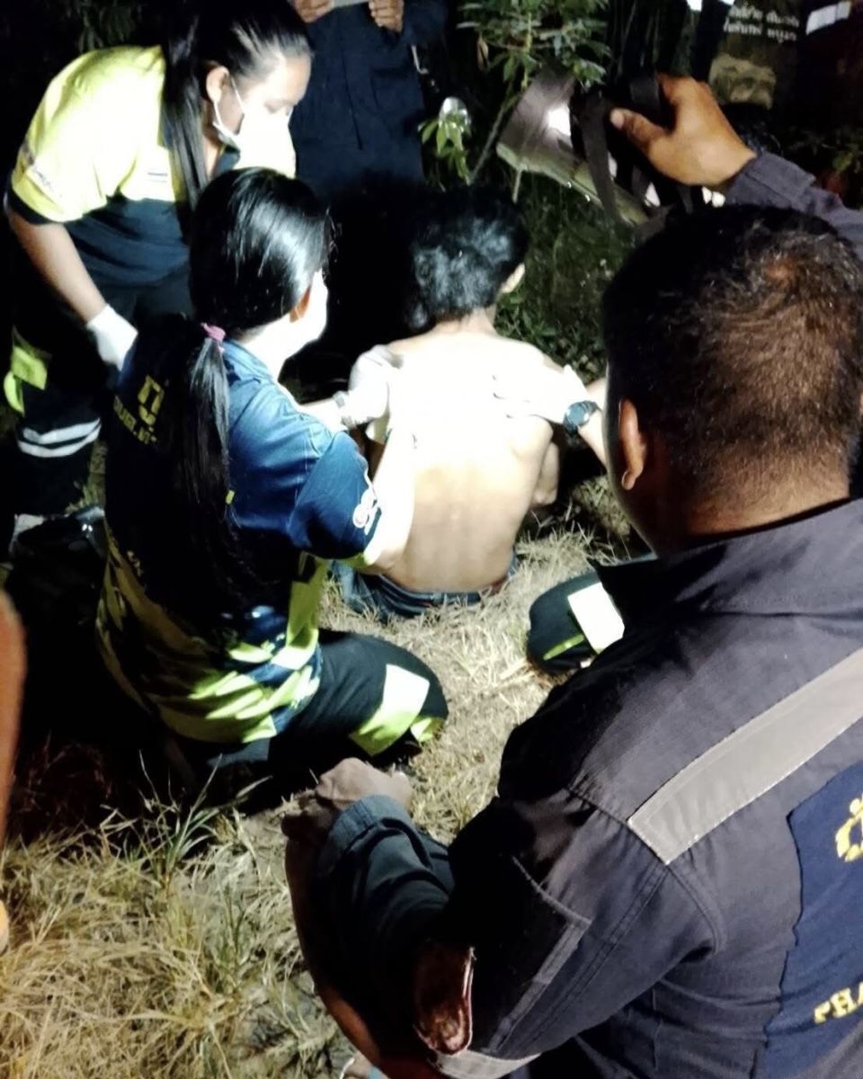 Rubber worker injured in elephant attack in central Thailand | News by Thaiger