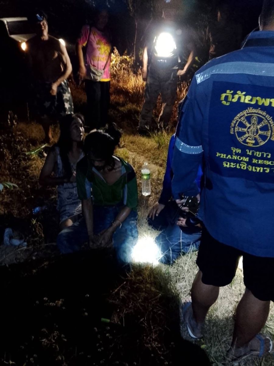 Rubber worker injured in elephant attack in central Thailand | News by Thaiger
