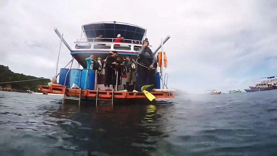 Pattaya to issue sea walker permits to protect marine life | News by Thaiger