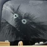 Phatthalung work camp attacked in midnight shooting | Thaiger