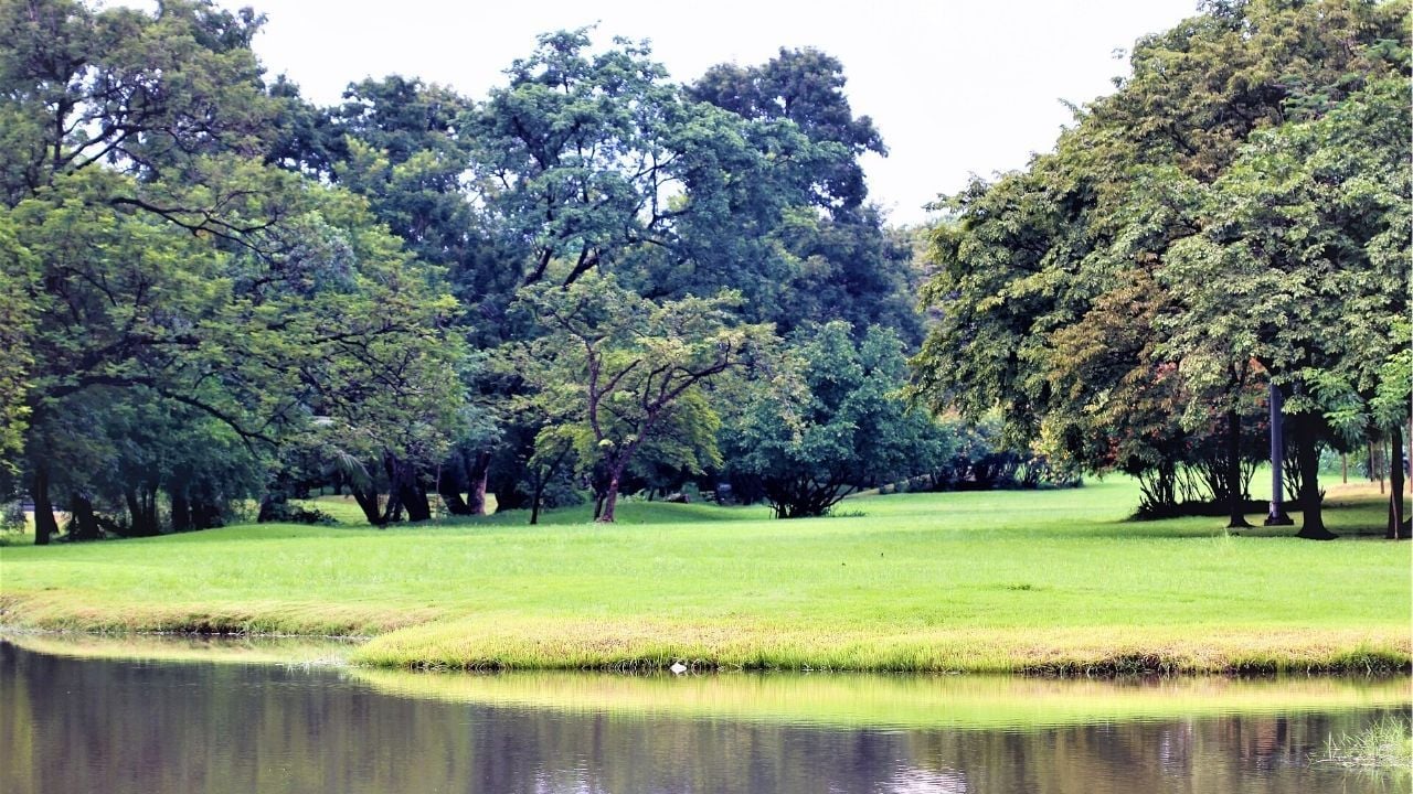 A lake at Chadchart Park (Wachirabenchathat Park) | Photo by PEAK99 taken from Wikipedia