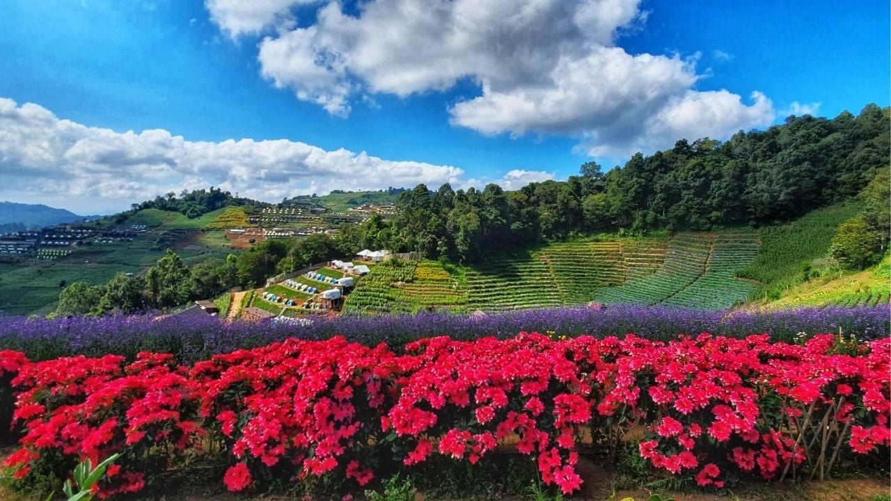 A lovely view over Mon Jam | Photo taken from My Chirpy Life website