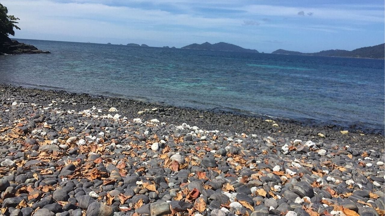 A view of the Andaman Sea from the shore of Koh Hingham | Photo by Axadem from Wikimedia