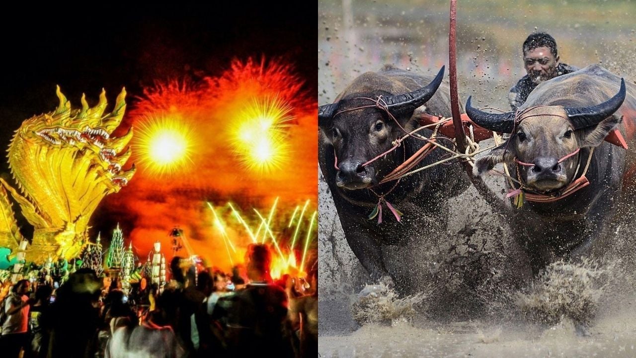 (Left) The Mekong Naga Festival &amp; (Right) A buffalo chariot at the buffalo racing festival | Respective photos from Nakara Villas and Glamping &amp; Go Thai. Be Free websites