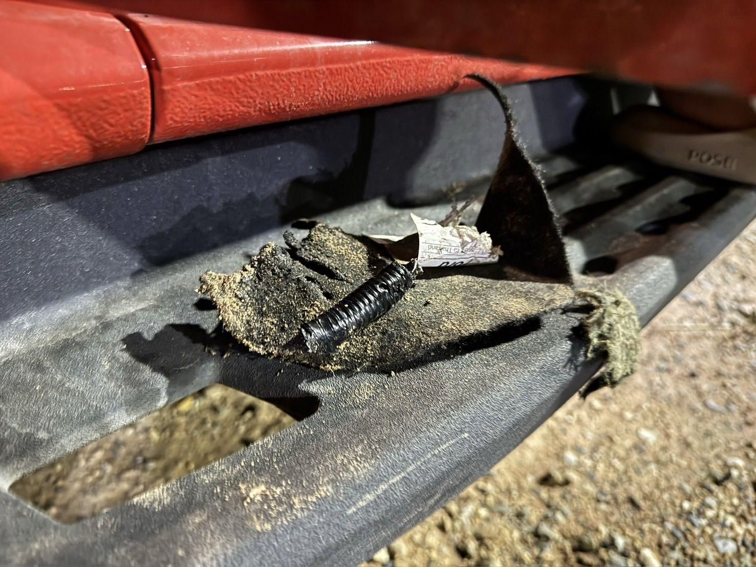 Stray dogs blamed for 100k baht damage to pickup in Pattaya | News by Thaiger