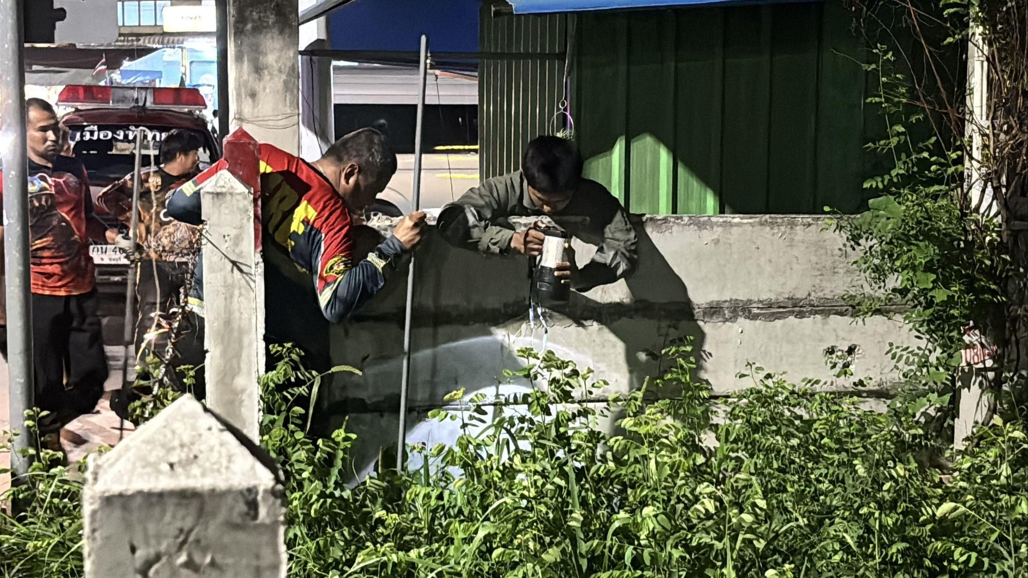 Greedy python meets fatal end after swallowing cat in Pattaya | News by Thaiger