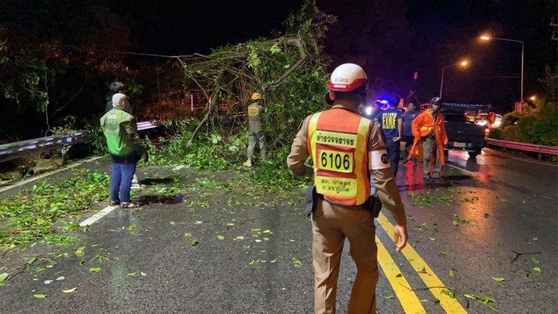 Tree and power pole fall cuts traffic on Patong Hill road | News by Thaiger