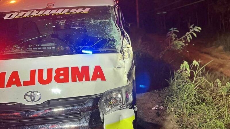 Ambulance crash in Chachoengsao hits elephant in the room | News by Thaiger