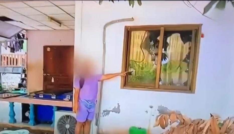 Northeast Thailand loan sharks steal rabbit in debt dispute | News by Thaiger