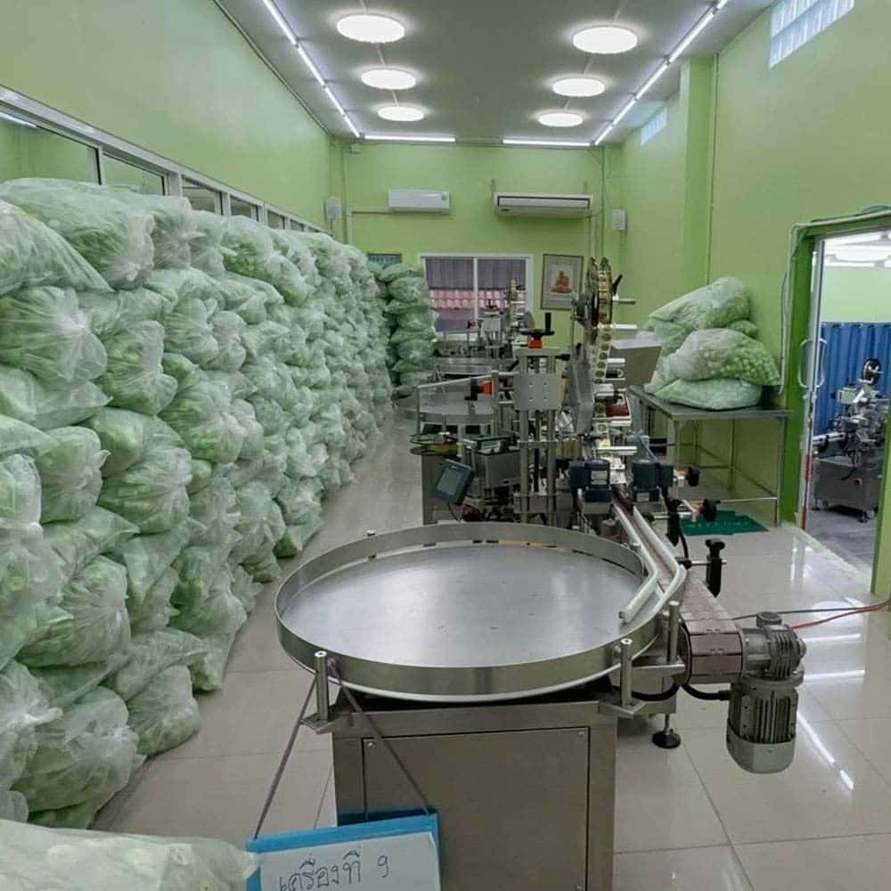 Police Raid Illegal 'Hong Thai' Factory, 2.3M Items Seized | News by Thaiger