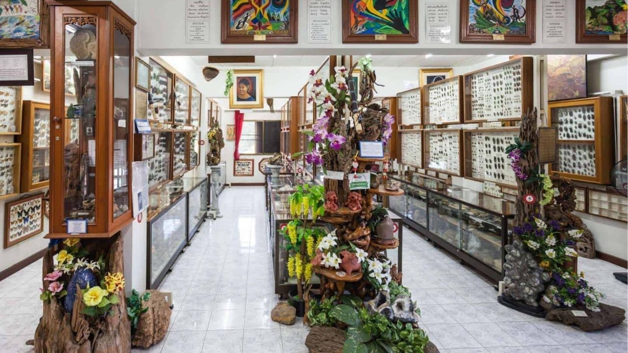 weird museums thailand